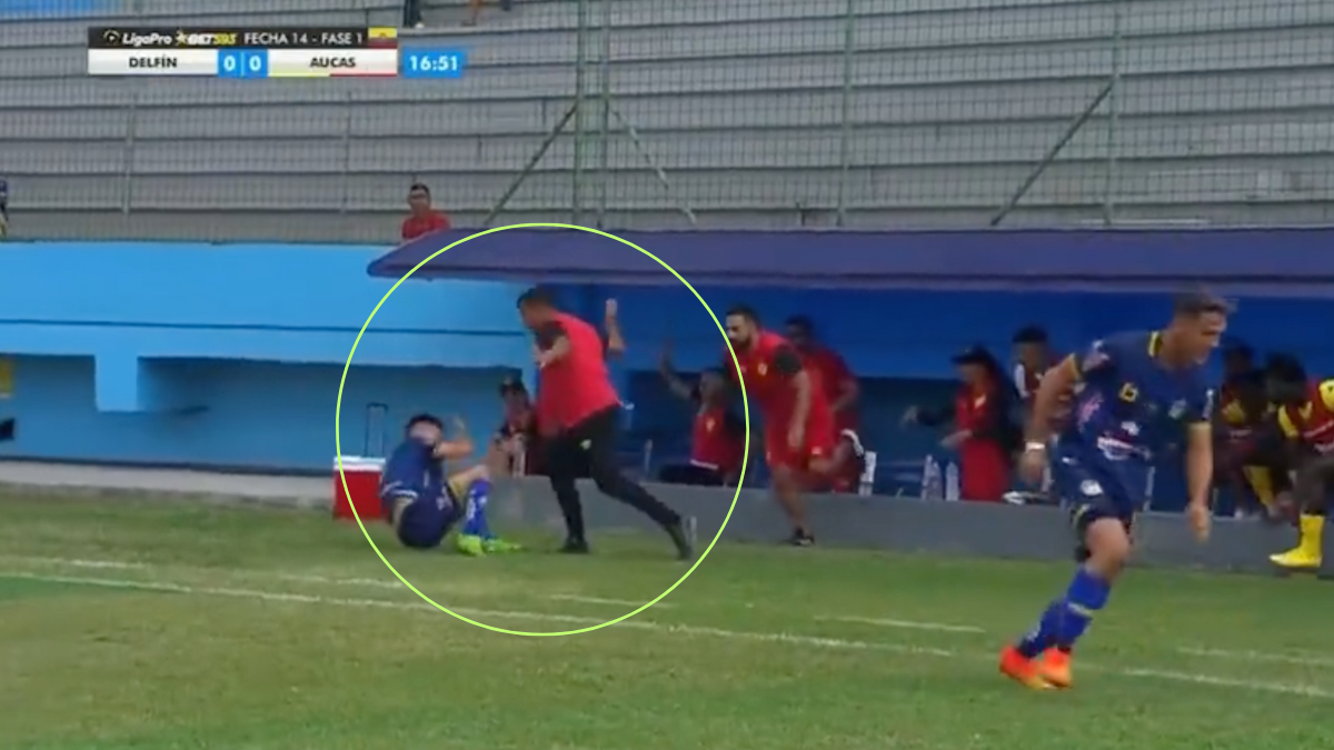 Coach César Farías punches two opposition players in Ecuador